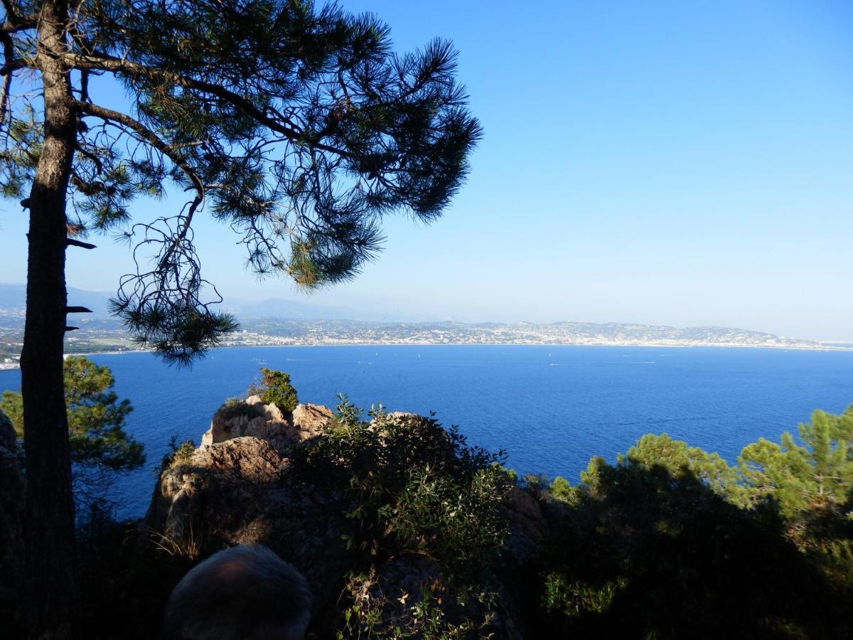 Esterel Terrasses, Roof Top, Plage, Parking Payant Cannes Dış mekan fotoğraf