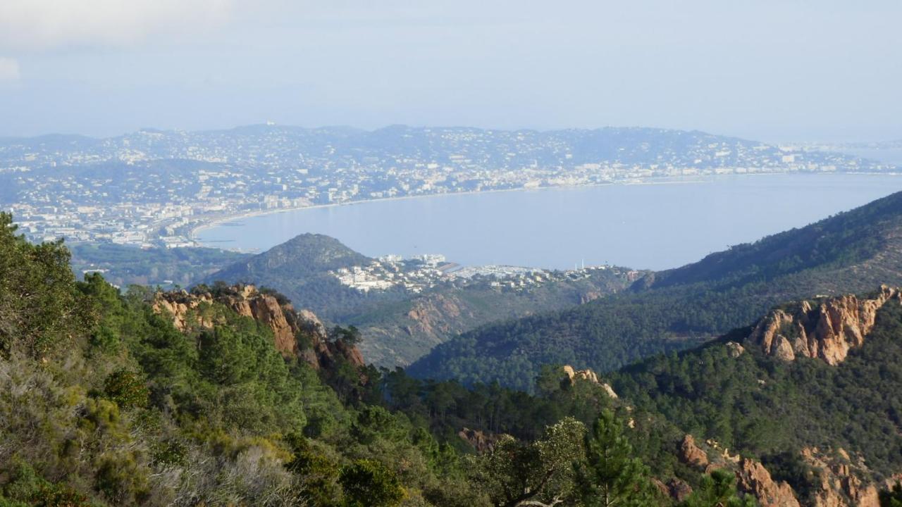 Esterel Terrasses, Roof Top, Plage, Parking Payant Cannes Dış mekan fotoğraf