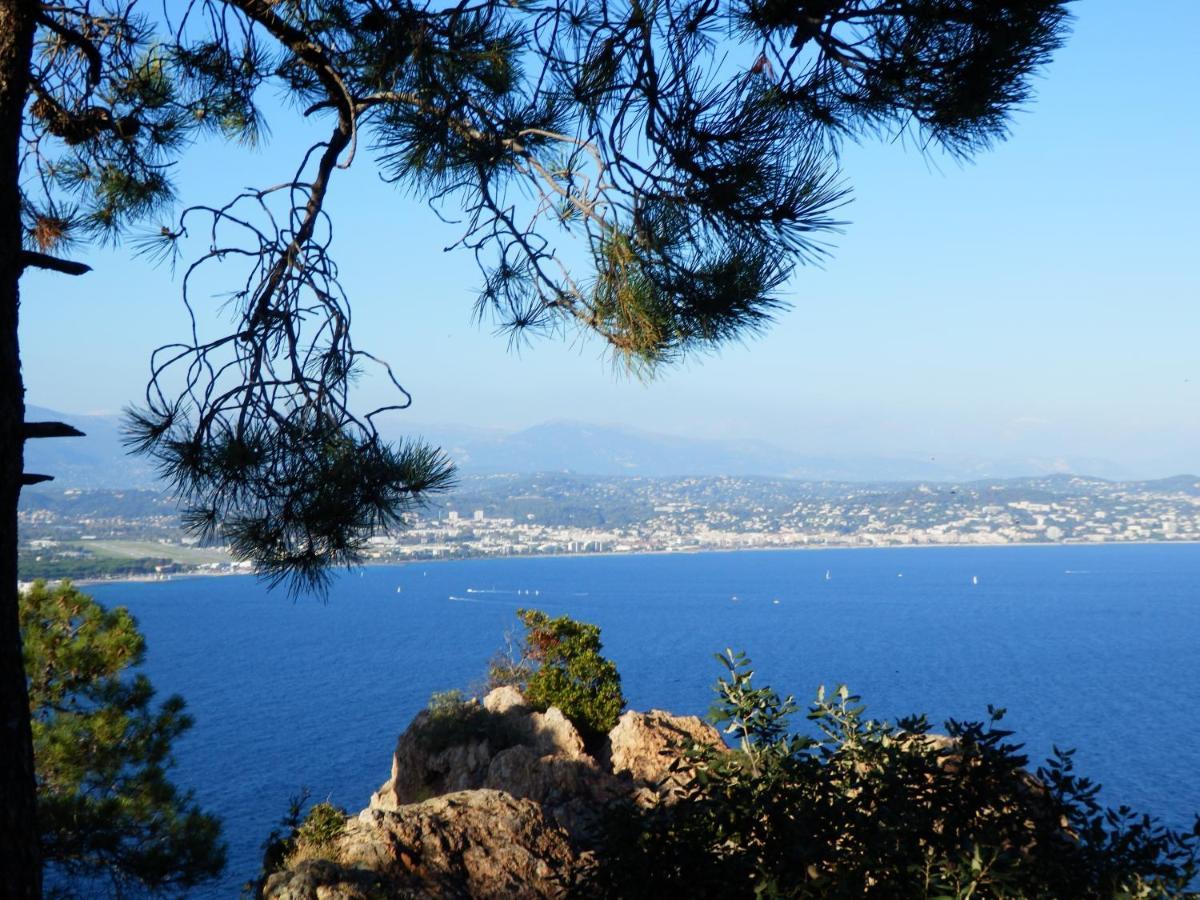 Esterel Terrasses, Roof Top, Plage, Parking Payant Cannes Dış mekan fotoğraf